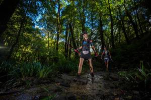 BIB: 
                            <button type="button" onclick="openModal(19239535)" class="btn btn-primary btn-sm float-right btn-popup" data-toggle="modal" data-target=".modal-high-quality">
                        <i class="fas fa-shopping-cart"></i> Add to Cart
                    </button>
                                            <button type="button" onclick="isThisMe(19239535, true)" class="btn btn-success btn-sm float-right btn-popup btn-isme hidden" data-toggle="tooltip" data-placement="bottom" title="นี่คือรูปของคุณใช่ไหม คลิกที่นี่เพื่อเอาเข้าอัลบั้ม">
                        <i class="fas fa-plus"></i> Add to album
                    </button>
                    <button type="button" onclick="isThisMe(19239535, false)" class="btn btn-warning btn-sm float-right btn-popup btn-isnotme hidden">
                        <i class="fas fa-ban"></i> Remove from album
                    </button>